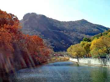 新澳天天开奖资料大全旅游团，台湾社区